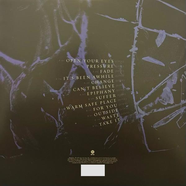 Vinyl Record Staind - Break The Cycle (25th Anniversary Live, Black Ice) LP - img.2