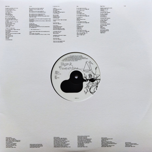 Vinyl Record Bjork – Vespertine - 2LP - img.10