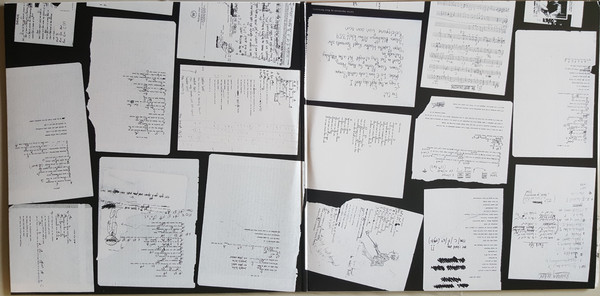 Vinyl Record Blur - Parklife - LP - img.2