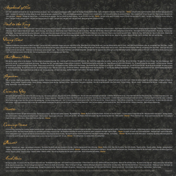 Vinyl Record Avenged Sevenfold – Hail To The King (Gold, 10th Anniversary) - 2LP - img.3