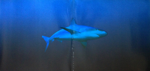 Vinyl Record Blur - The Great Escape - img.2