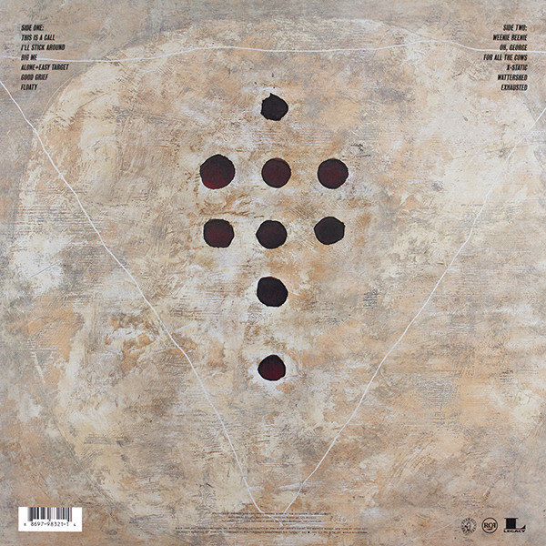 Vinyl Record Foo Fighters - Foo Fighters - img.1