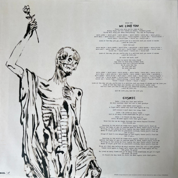 Vinyl Record Avenged Sevenfold – Life Is But A Dream... - 2LP - img.8