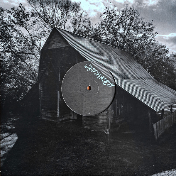 Vinyl Record Mitski - The Land Is Inhospitable And So Are We LP - img.8