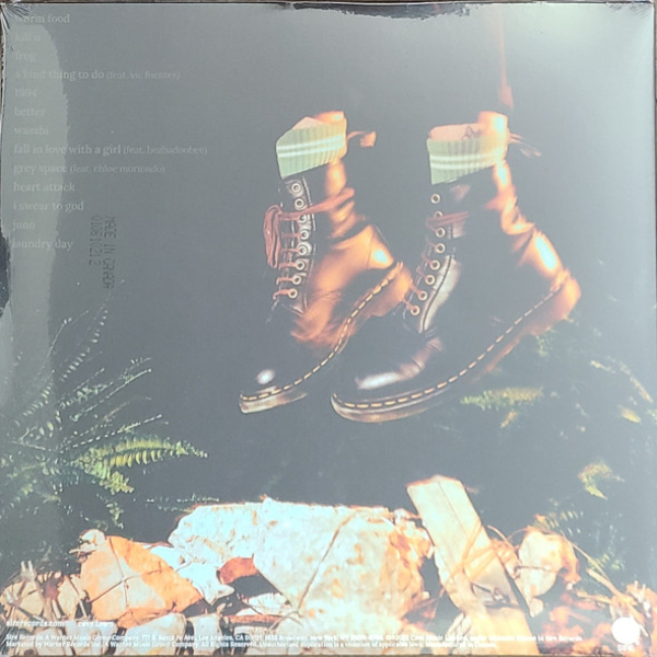 Vinyl Record Cavetown - Worm Food (Limited Green edition) LP - img.2