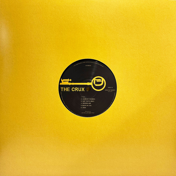 Vinyl Record Djo - The Crux LP - img.5