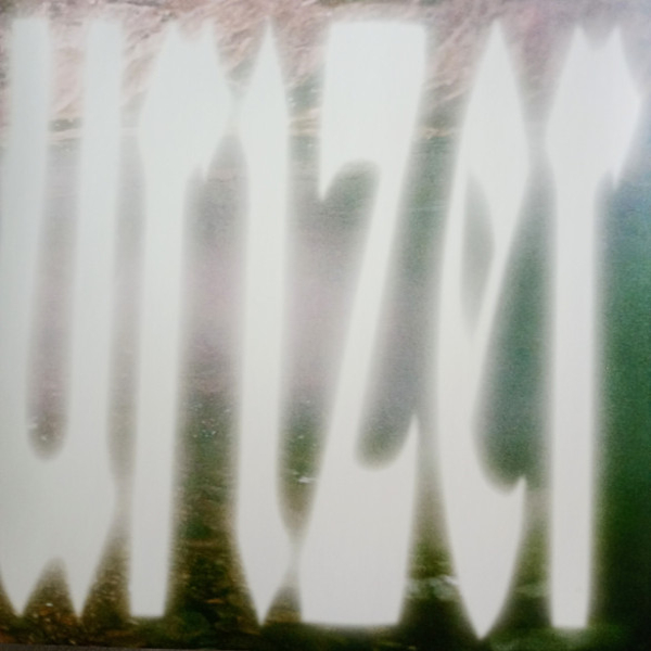 Vinyl Record Wet Leg - Moisturizer LP - img.5