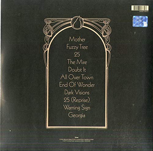 Vinyl Record The Amazons – Future Dust - LP - img.1