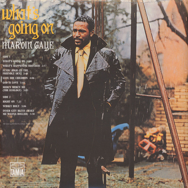 Vinyl Record Marvin Gaye - What's Going On - img.1