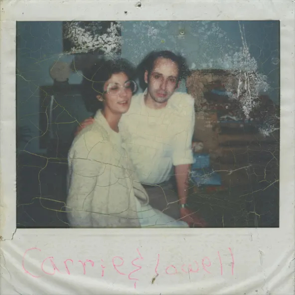 Vinyl Record Sufjan Stevens - Carrie & Lowell - (10th Anniversary Edition, Violet) 2LP - img.0