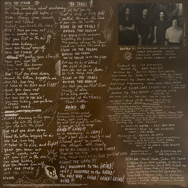 Vinyl Record Gojira – Fortitude (Grey with Brown Splatter) LP - img.3