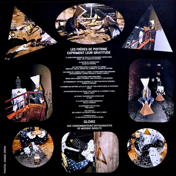 Vinyl Record Angine De Poitrine - Vol. II LP - img.2