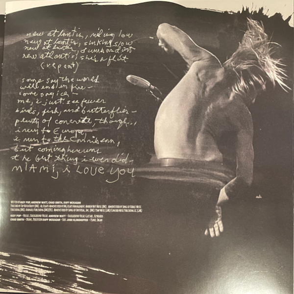 Vinyl Record Iggy Pop – Every Loser (Red) LP - img.10