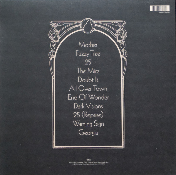 Vinyl Record The Amazons – Future Dust - Deluxe Edition - Die Cut - LP - img.1