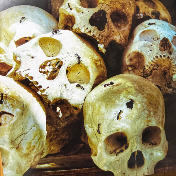 Vinyl Record Dream Theater – Systematic Chaos (Clear) - 2LP - img.9