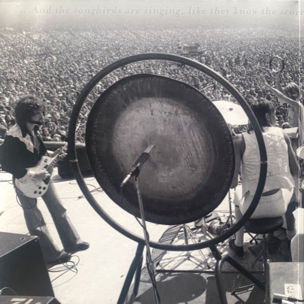 Vinyl Record Fleetwood Mac – Rumours Live - 2LP - img.2