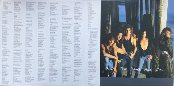 Vinyl Record Bon Jovi - New Jersey - img.2