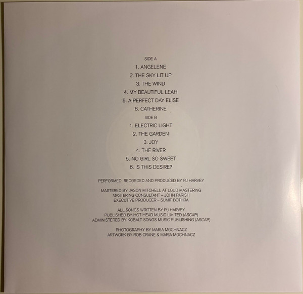 Vinyl Record PJ Harvey – Is This Desire? - Demos - LP - img.1