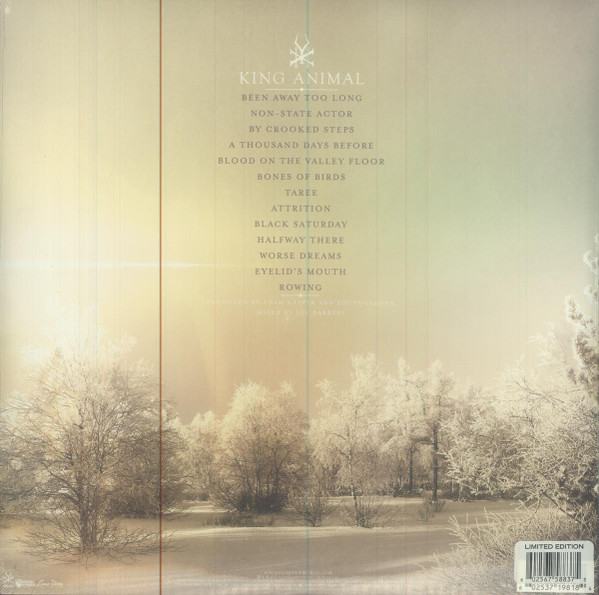 Vinyl Record Soundgarden – King Animal - 2LP - img.1