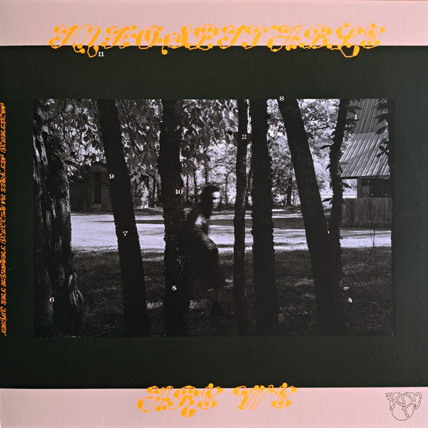 Vinyl Record Mitski - The Land Is Inhospitable And So Are We LP - img.3