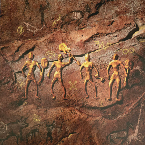 Vinyl Record Weezer - Weezer (Gold) LP - img.5