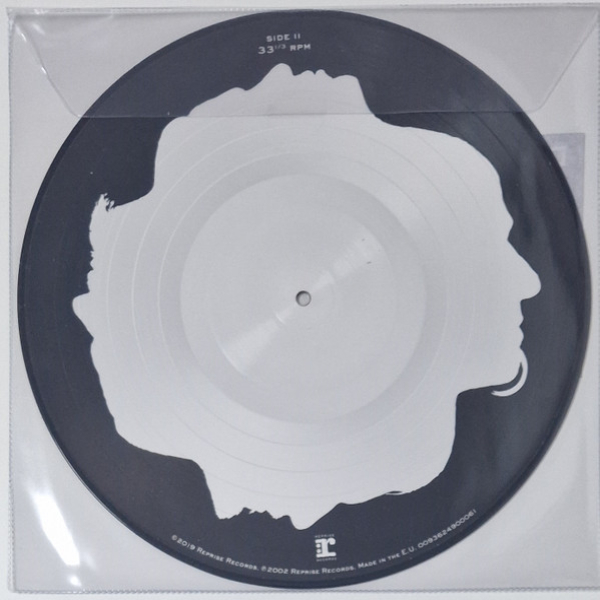 Vinyl Record Disturbed – Believe (Limited Picture Vinyl) LP - img.2