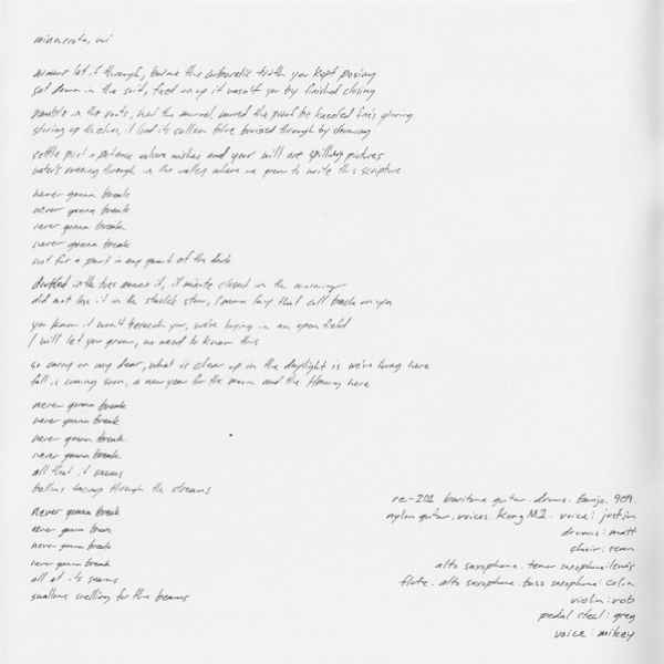 Vinyl Record Bon Iver - Bon Iver, Bon Iver LP - img.8