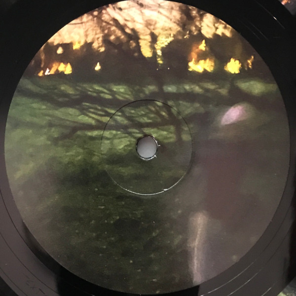 Vinyl Record Fred again.. & Brian Eno – Secret Life LP - img.2