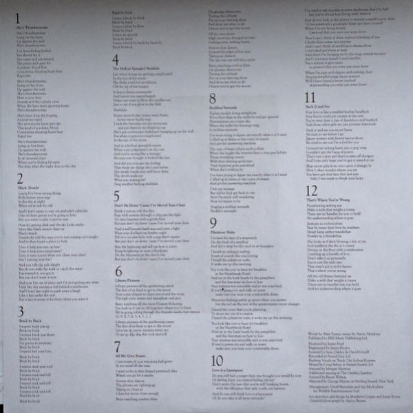 Vinyl Record Arctic Monkeys - Suck It And See LP - img.5