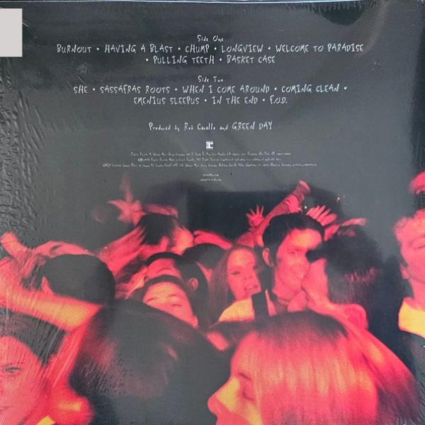 Vinyl Record Green Day – Dookie (Repress) (Raspberry Colour Vinyl) LP - img.2