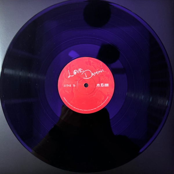 Vinyl Record Burna Boy - Love, Damini - 2LP - img.6