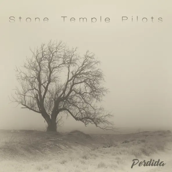 Vinyl Record Stone Temple Pilots – Perdida LP - img.0