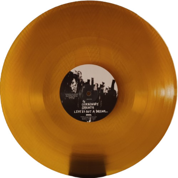 Vinyl Record Avenged Sevenfold – Life Is But A Dream... (Transparent Orange) - 2LP - img.9