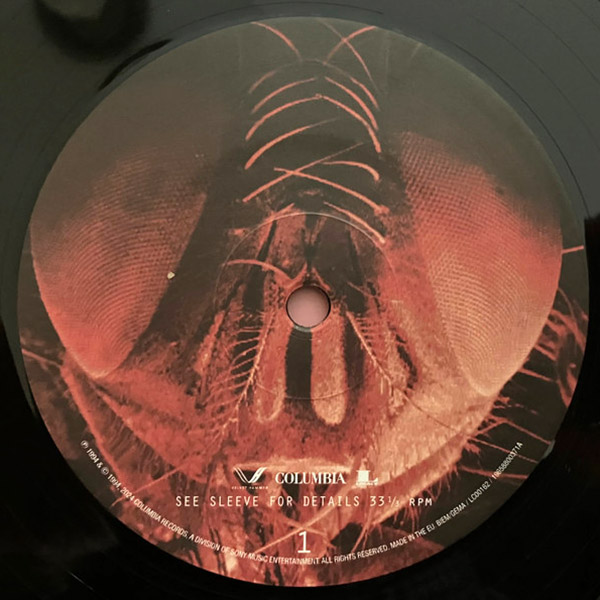 Vinyl Record Alice In Chains - Jar Of Flies (30th Anniversary) LP - img.2