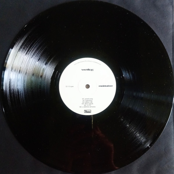 Vinyl Record Wet Leg - Moisturizer LP - img.8