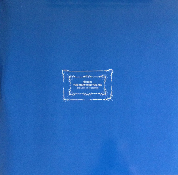 Vinyl Record Blur - Modern Life Is Rubbish - img.3