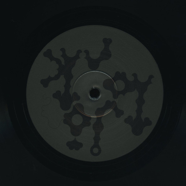 Vinyl Record Bjork – Medulla - 2LP - img.9