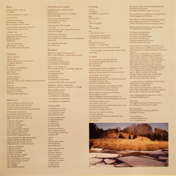 Vinyl Record Bon Iver - For Emma, Forever Ago LP - img.4