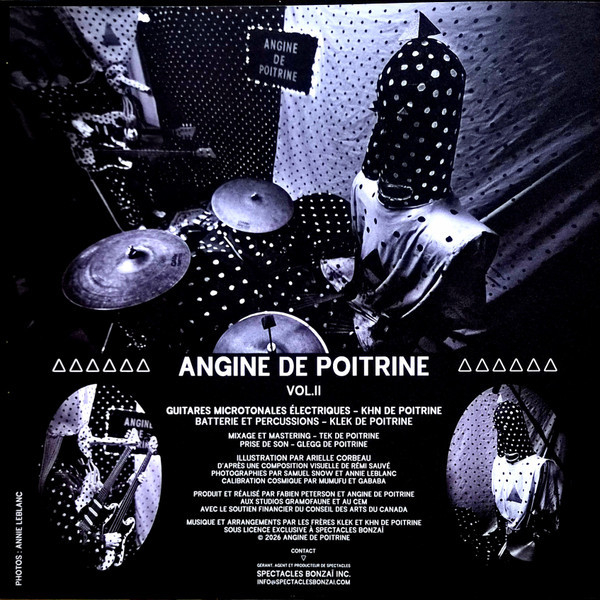 Vinyl Record Angine De Poitrine - Vol. II LP - img.1