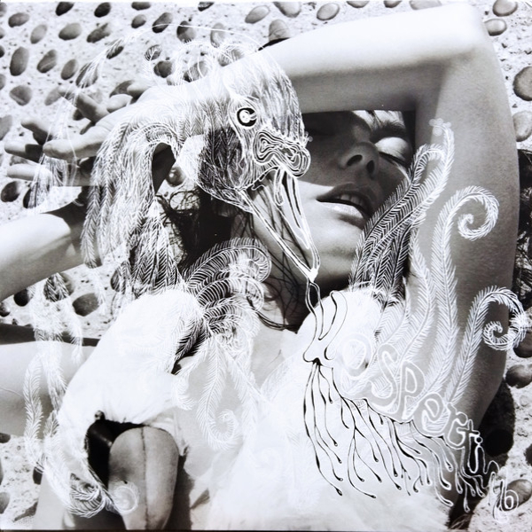 Vinyl Record Bjork – Vespertine - 2LP - img.0