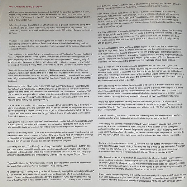 Vinyl Record Buzzcocks – Singles Going Steady (2019 Remastered Version) LP - img.6