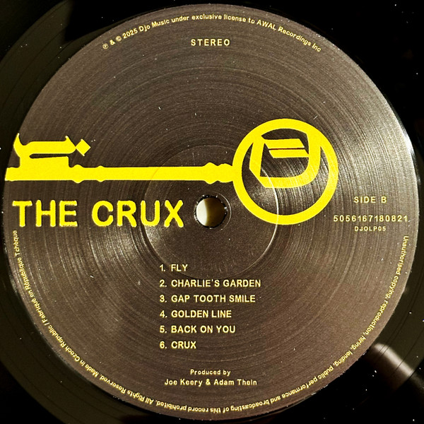 Vinyl Record Djo - The Crux LP - img.7