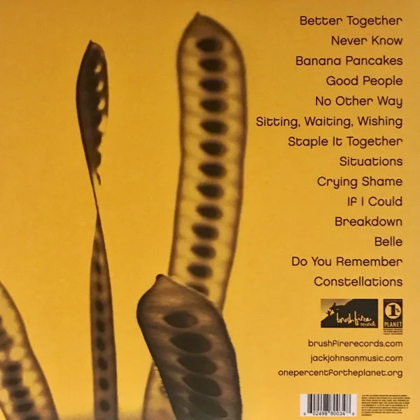 Vinyl Record Jack Johnson - In Between Dreams LP - img.1