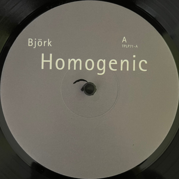 Vinyl Record Bjork – Homogenic LP - img.4