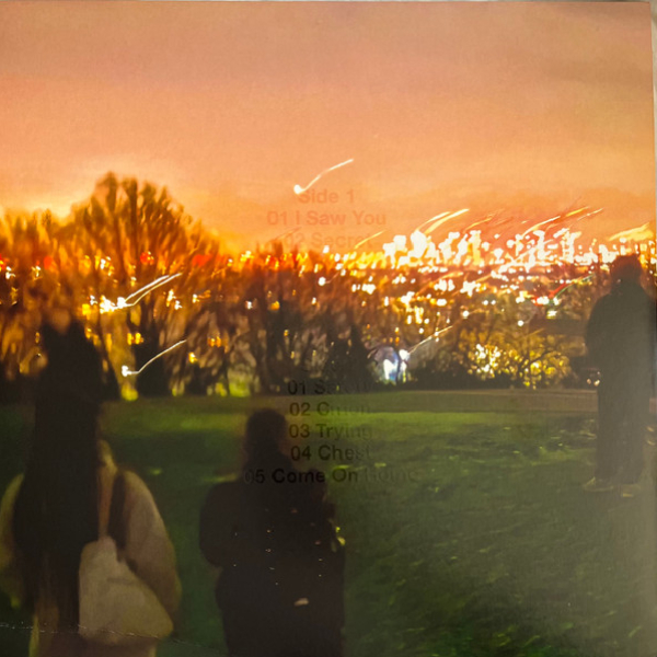 Vinyl Record Fred again.. & Brian Eno – Secret Life LP - img.1