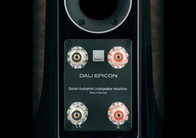 Floorstanding Speakers Dali Epicon 8 Walnut - img.6