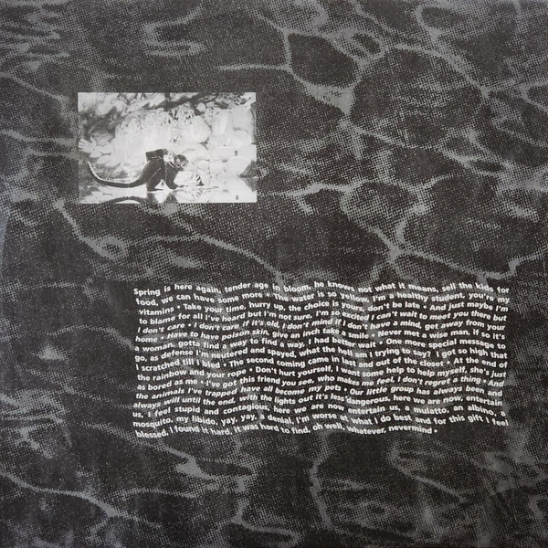 Vinyl Record Nirvana - Nevermind (Limited Edition Metallic Silver) LP - img.4