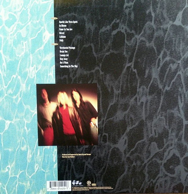 Vinyl Record Nirvana - Nevermind LP - img.1