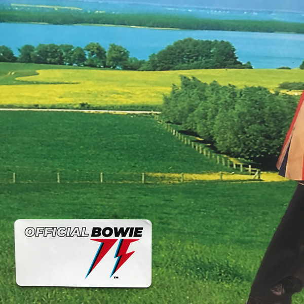 Vinyl Record David Bowie – Earthling - 2LP - img.3