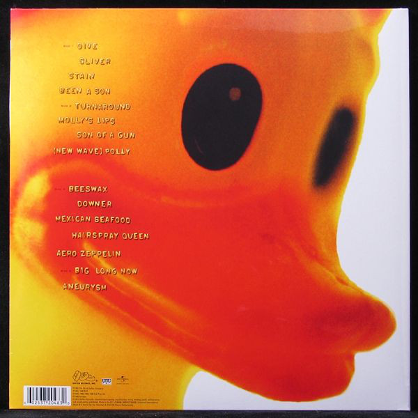 Vinyl Record Nirvana - Incesticide - img.2